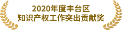 2020年度丰台区知识产权工作突出贡献奖