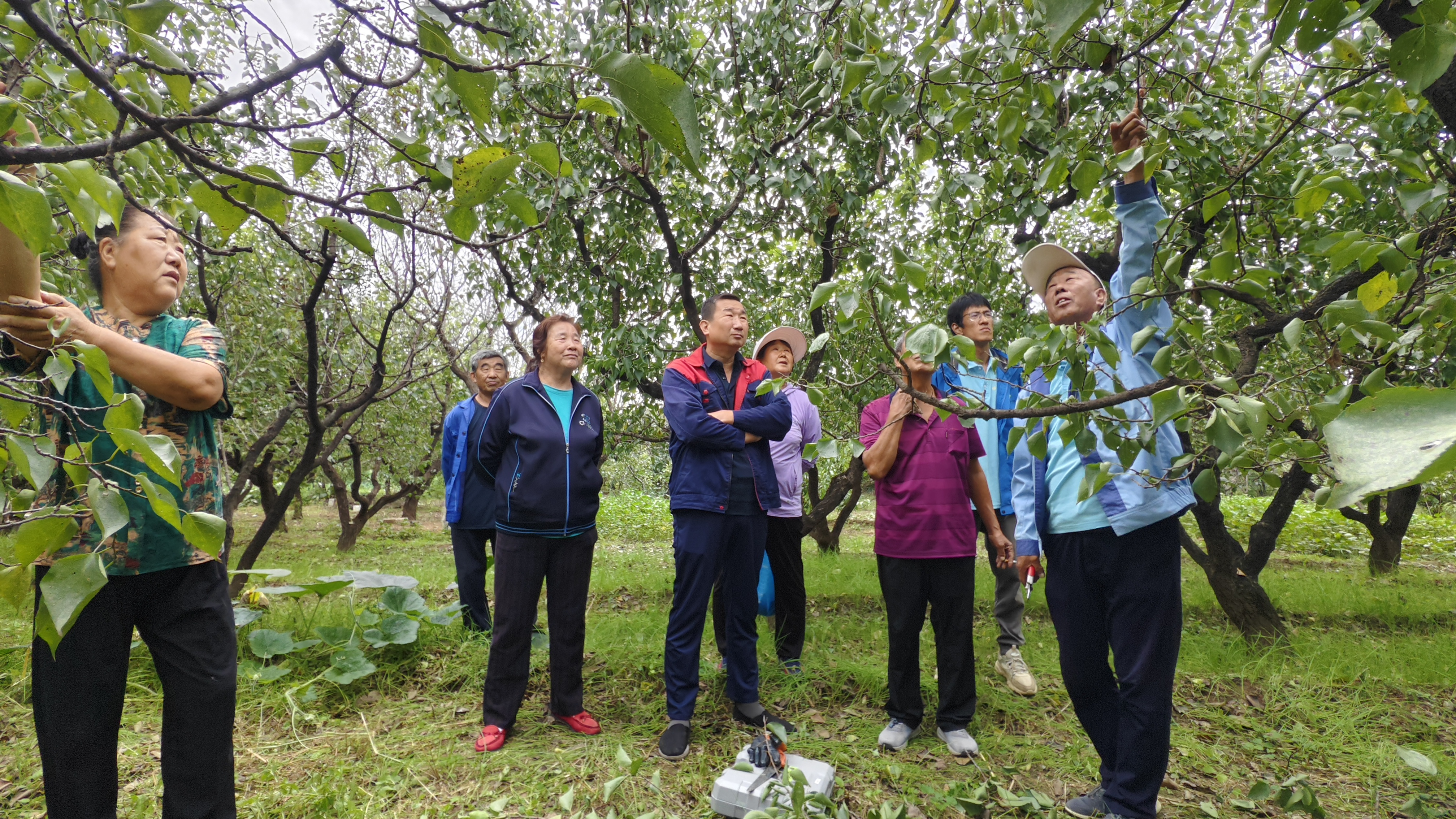 【热烈庆祝中华人民共和国成立75周年】为农服务守初心  深入田间话发展