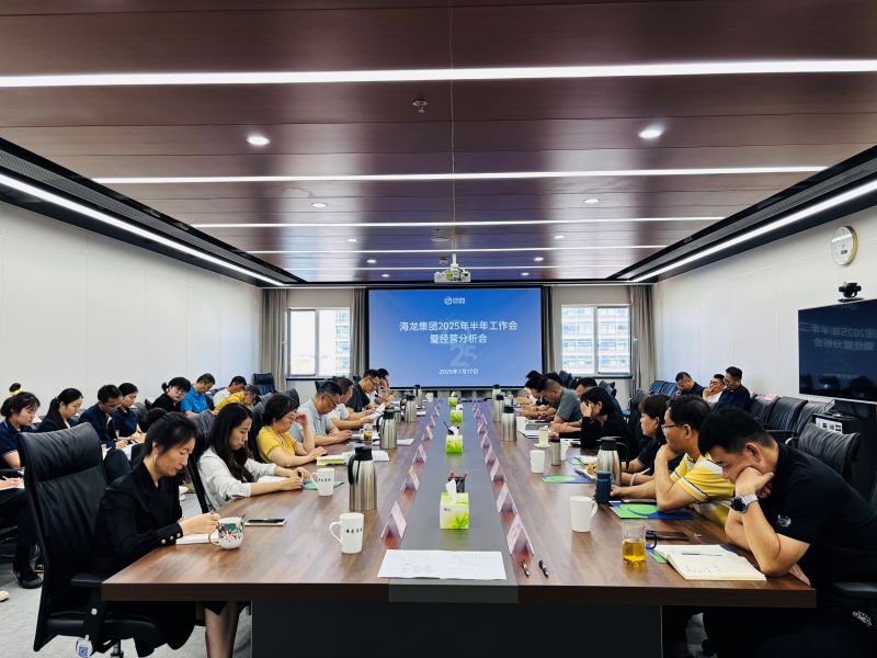 海龙集团召开2025年上半年工作会暨经营分析会