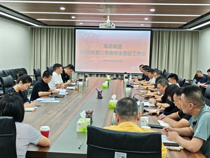 海龙集团召开2025年二季度安全稳定工作会