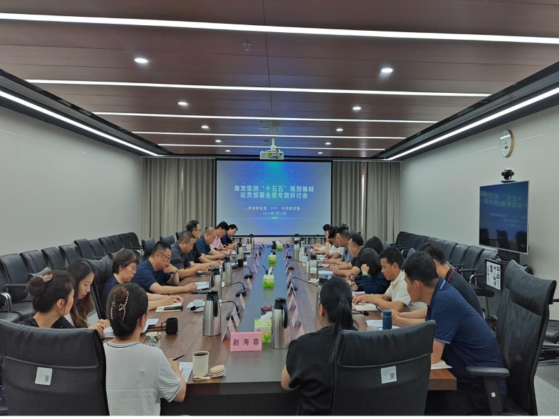 海龙集团召开“十五五”规划编制动员部署会暨专题研讨会