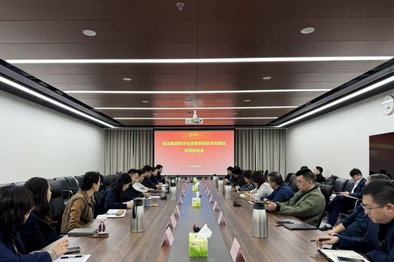 海龙集团召开数字化信息系统研发和建设项目启动会