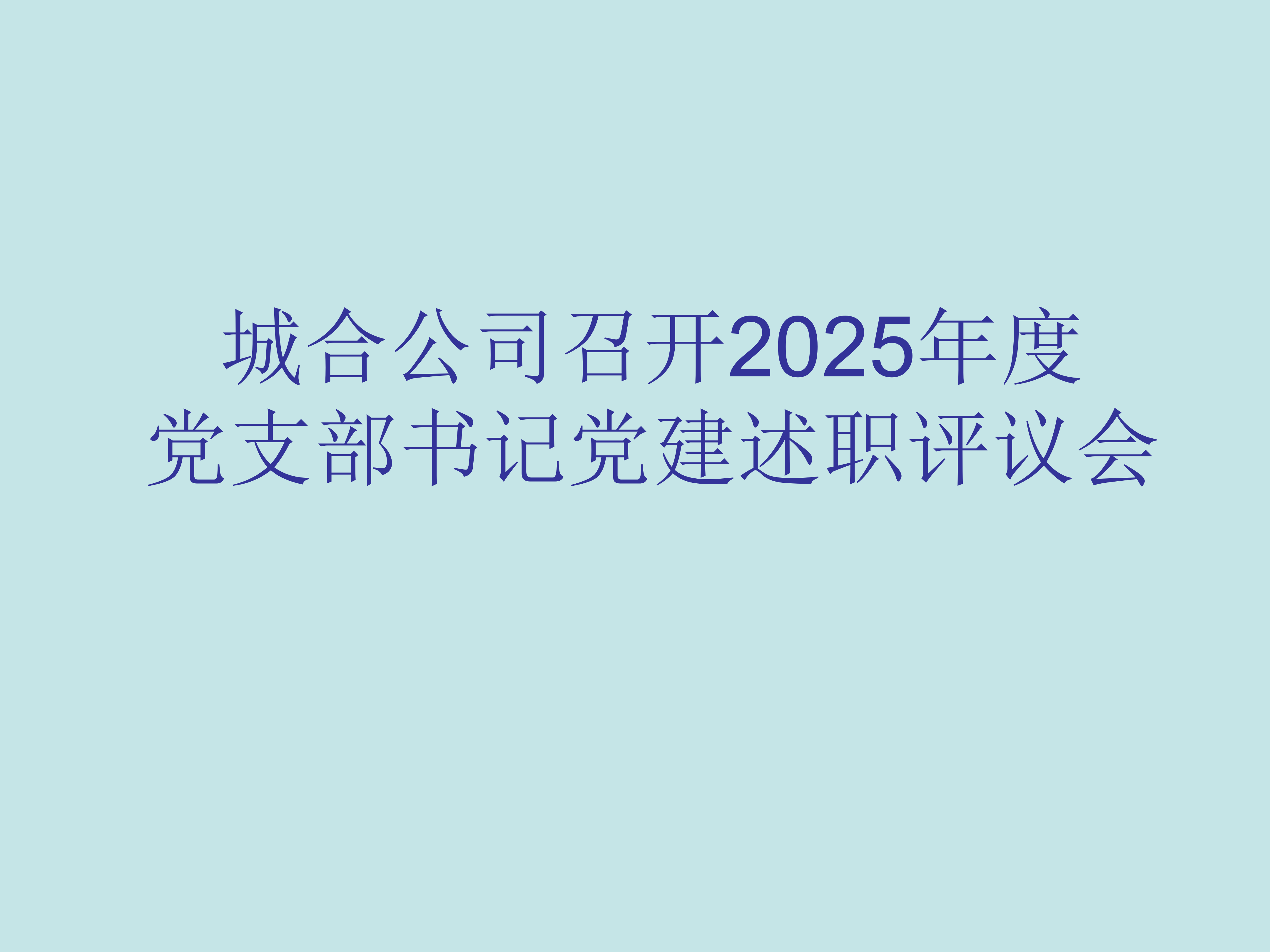 城合公司召开2025年度党支部书记党建述职评议会