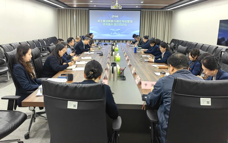 海龙集团薪酬与绩效考核管理