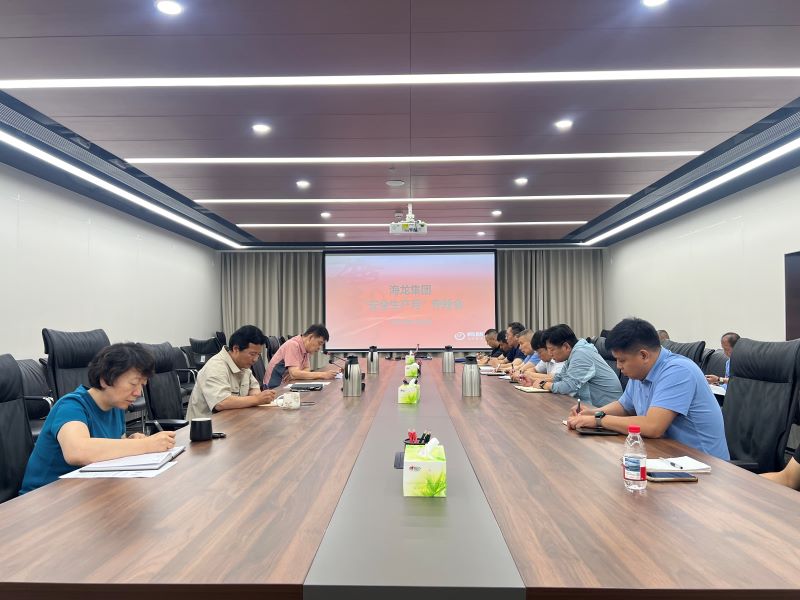 海龙集团召开“安全生产月”专题会