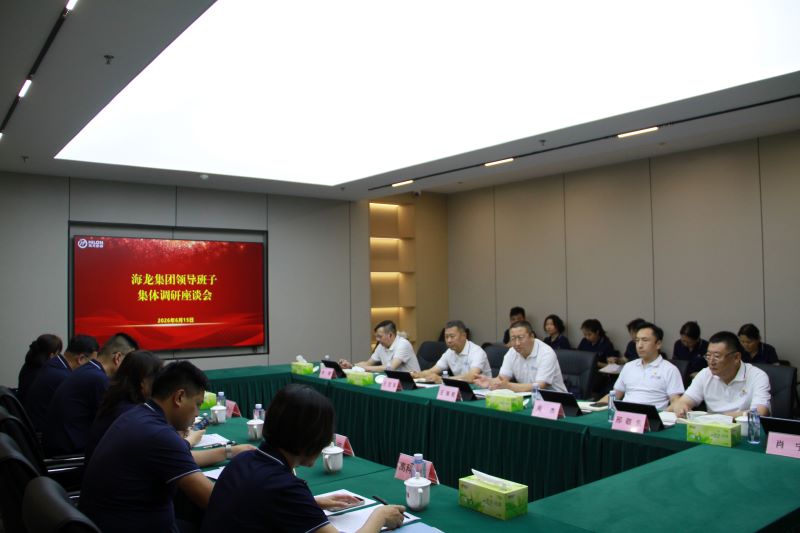 海龙集团领导班子开展树立和践行正确政绩观学习教育专题调研