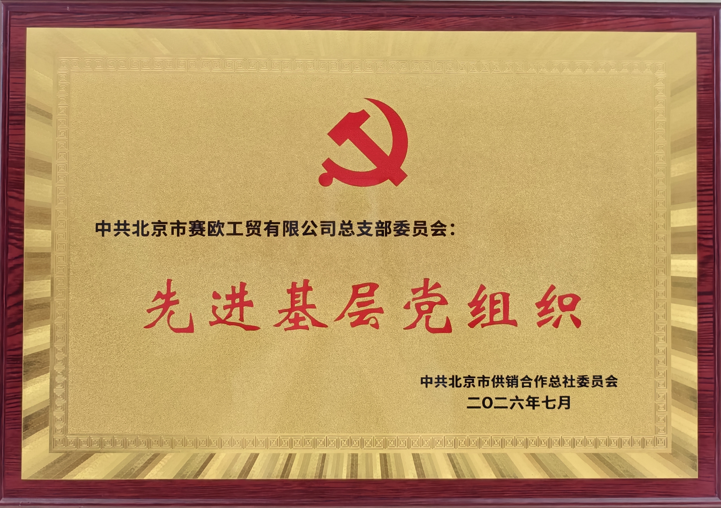 党建引领促发展 实干争先谱新篇——赛欧公司党总支获评 “北京市供销合作总社先进基层党组织”荣誉称号