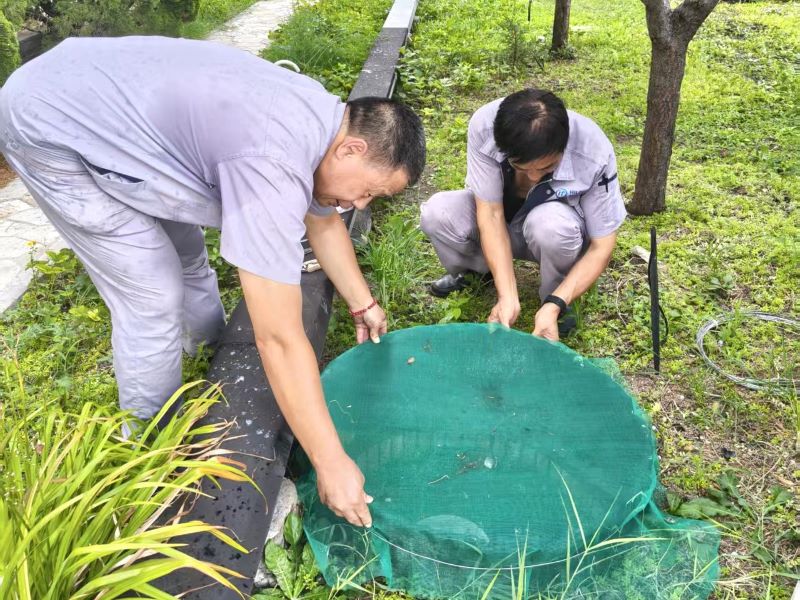 闻汛而动筑防线 多措并举护平安