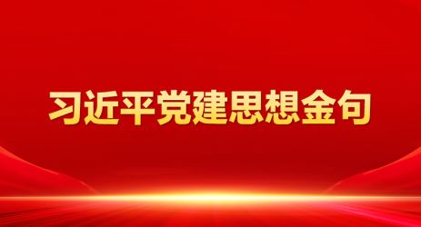 习近平党建思想金句