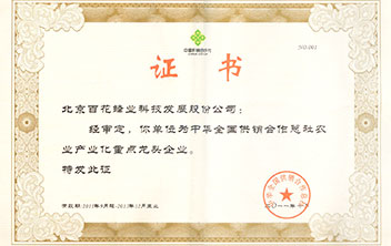 供销社龙头企业