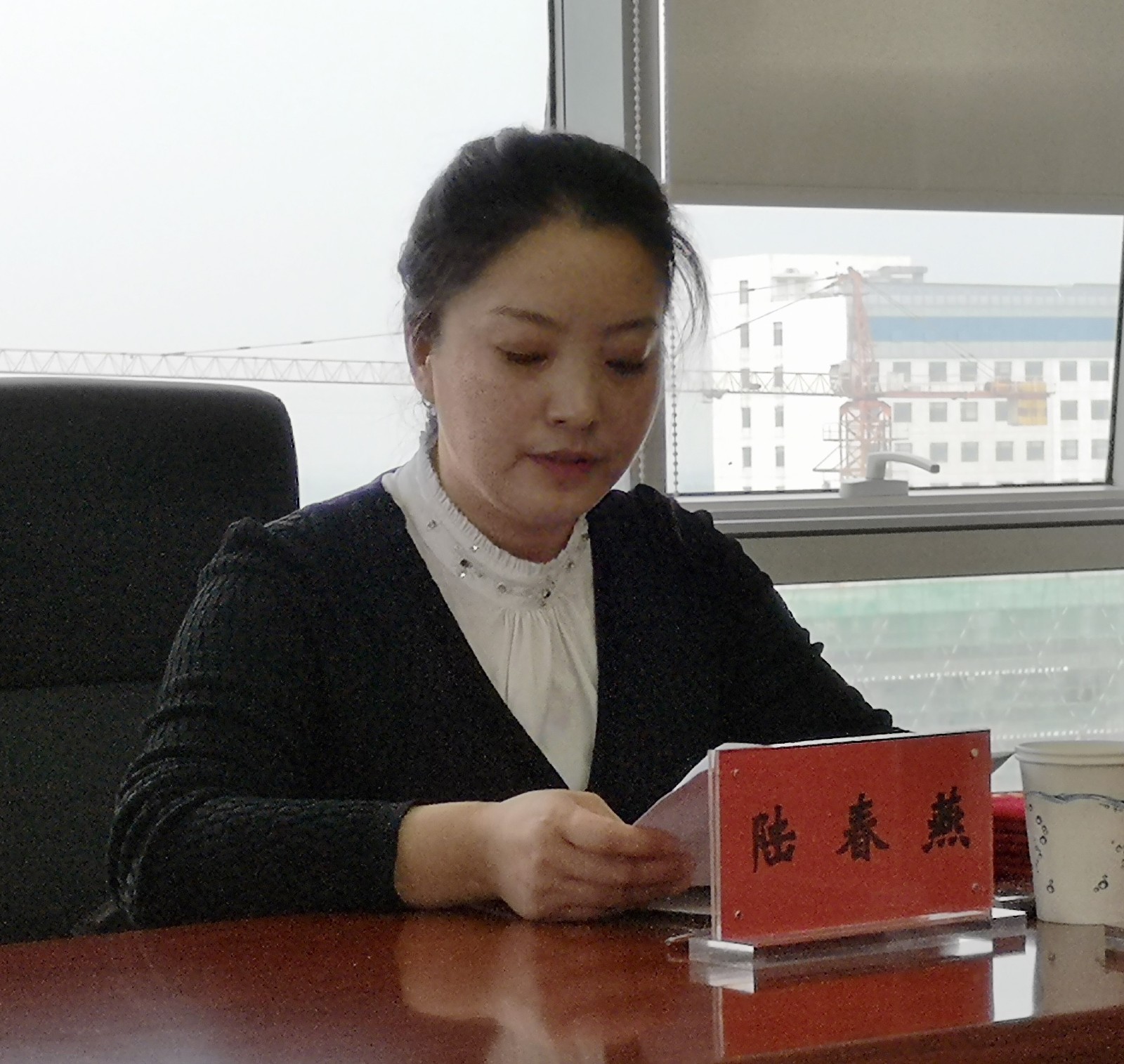 赛欧公司陆春燕.jpg