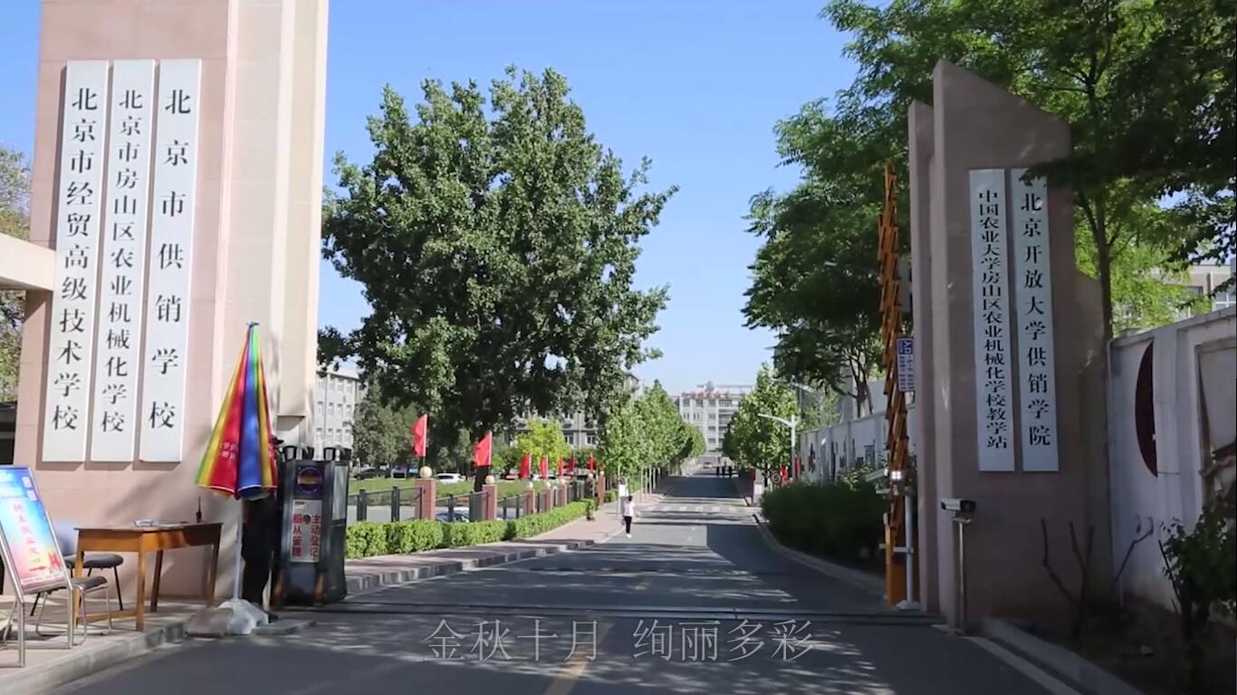 2020年技能文化节启动仪式