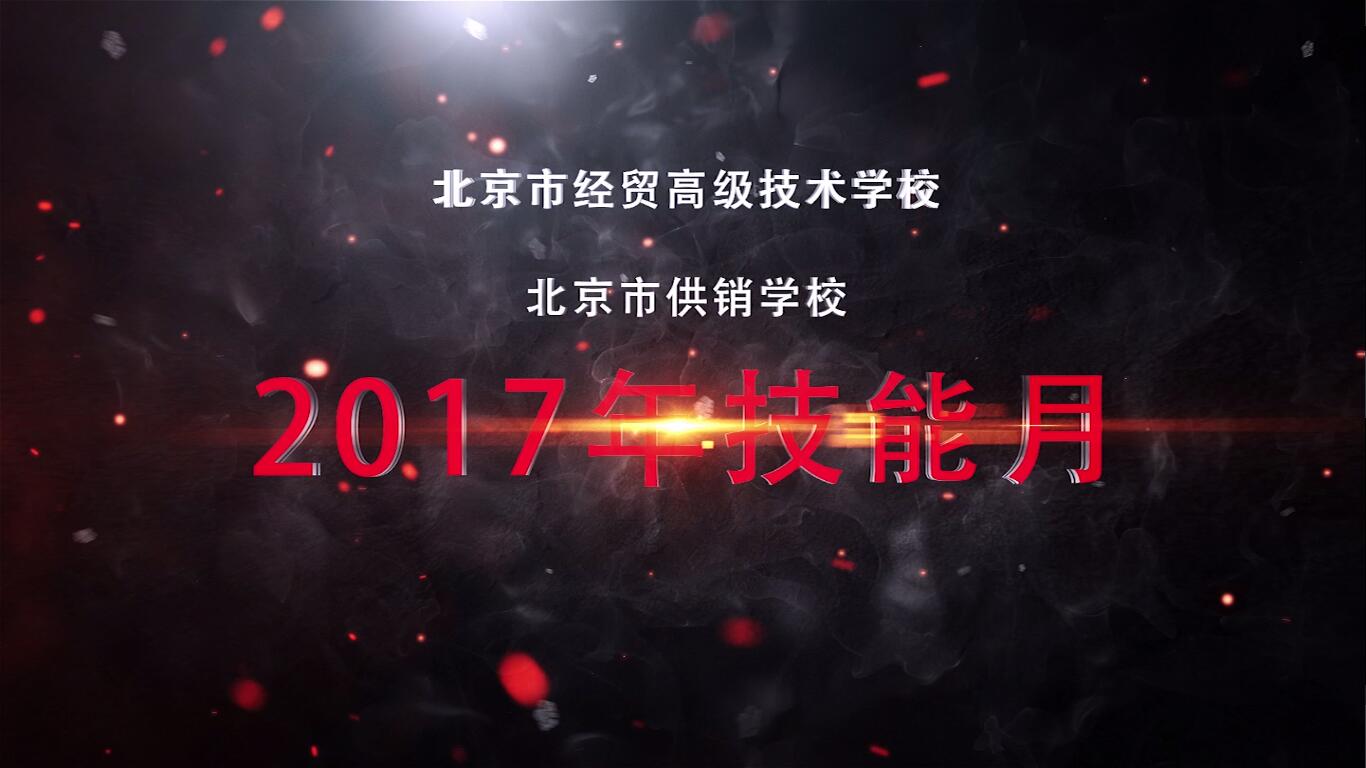 2017技能月活动