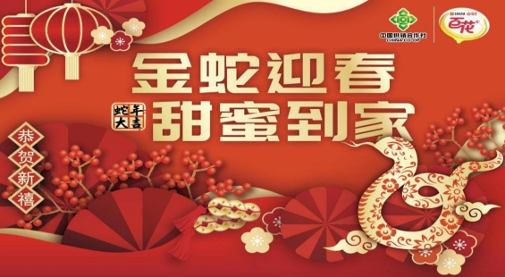 乙巳跃龙门 灵蛇迎新春 超值消费季  中华老字号百花开展