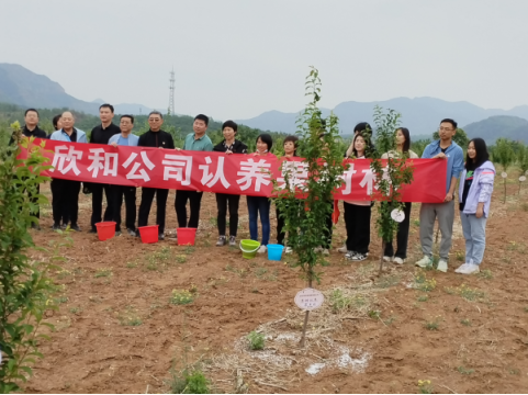 认养果树