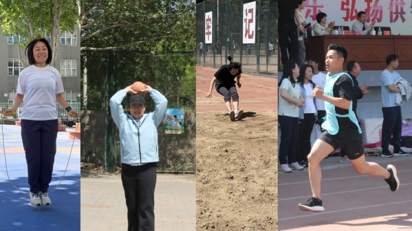 单人4张